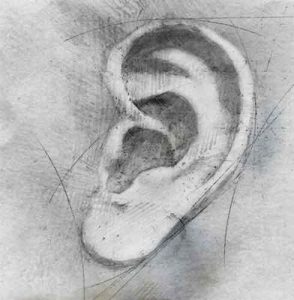 tinnitus and the ear