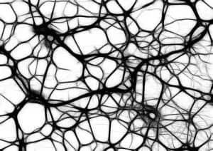 sophrology and others similar techniques